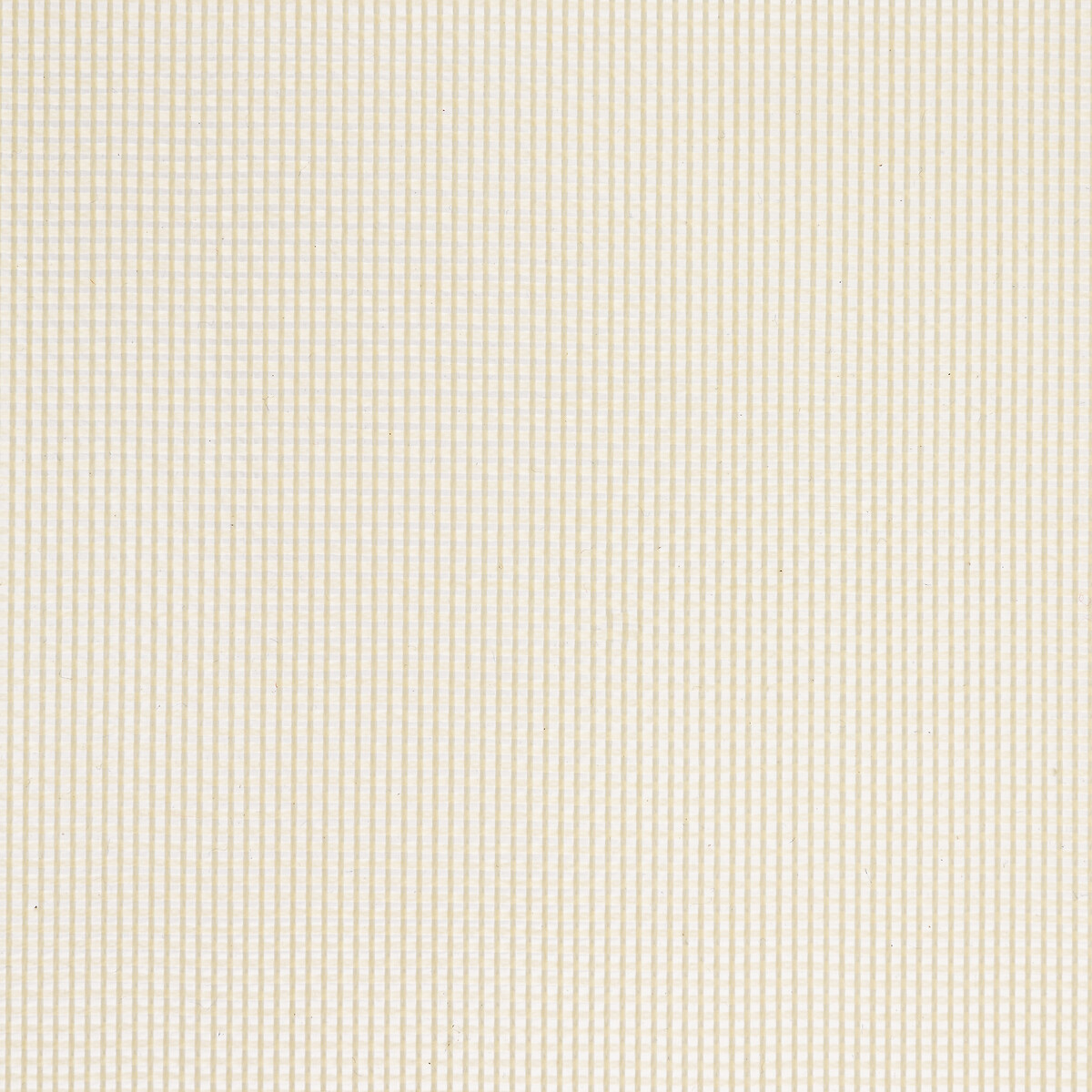 Tapis en silicone 40x30cm