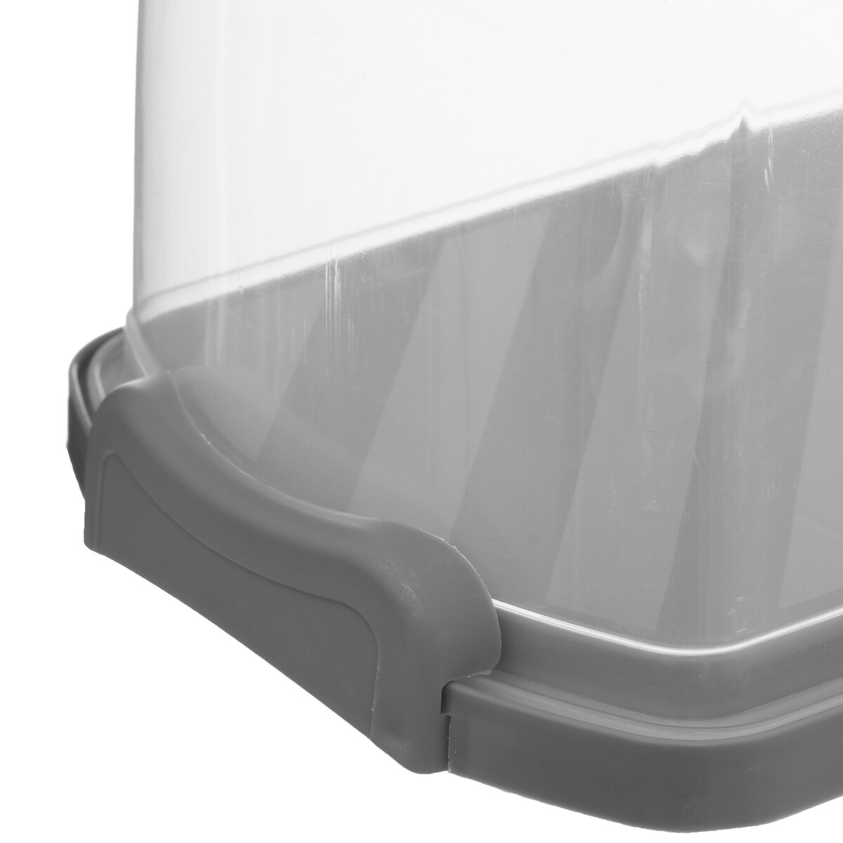 Boîte à cake 33x16cm, plastique 