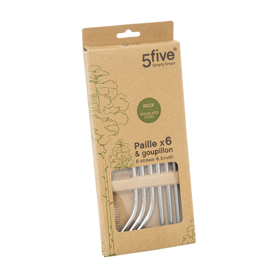 Lot de 6 pailles avec goupillon en inox