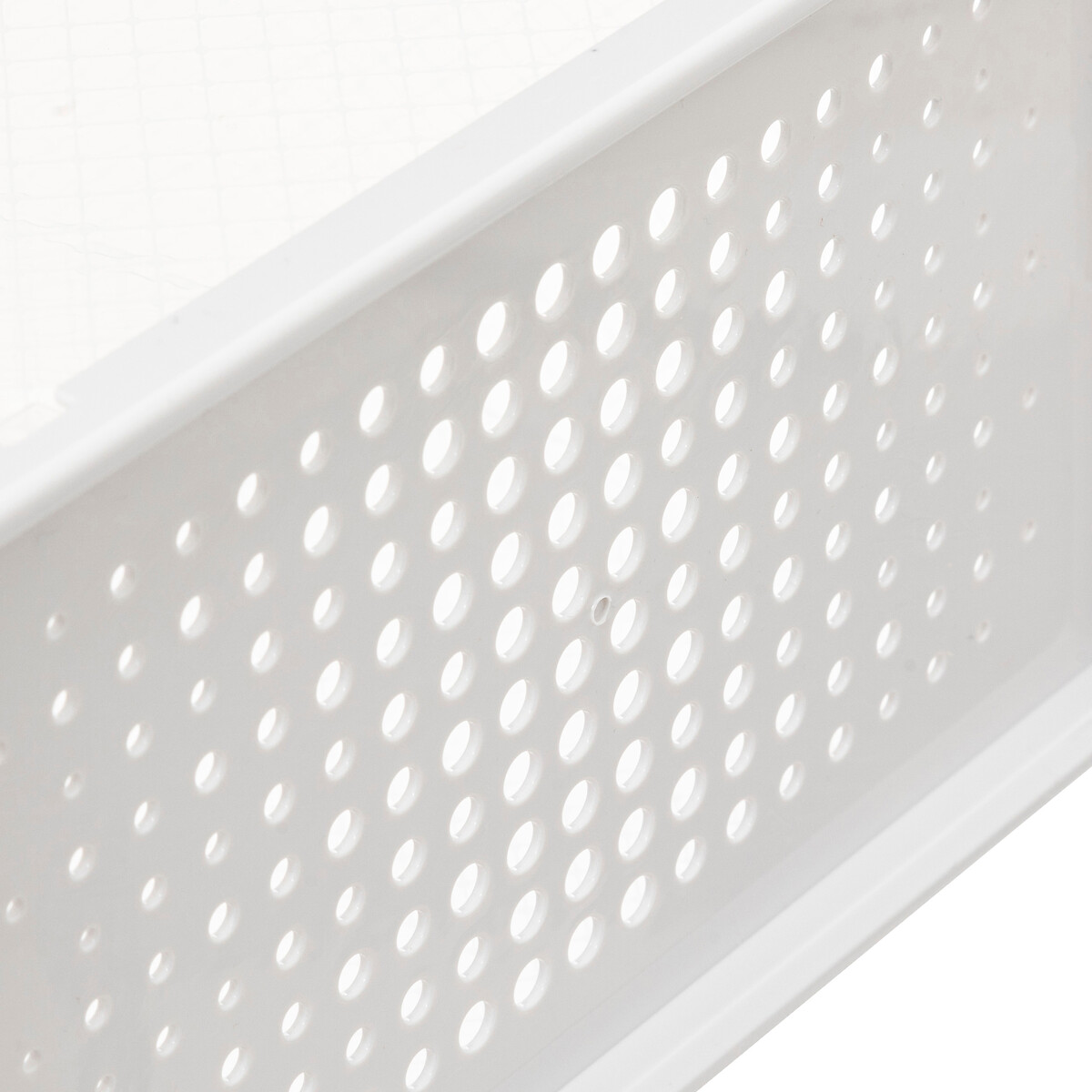 Boîte range-chaussures plastique, l Fold'n box