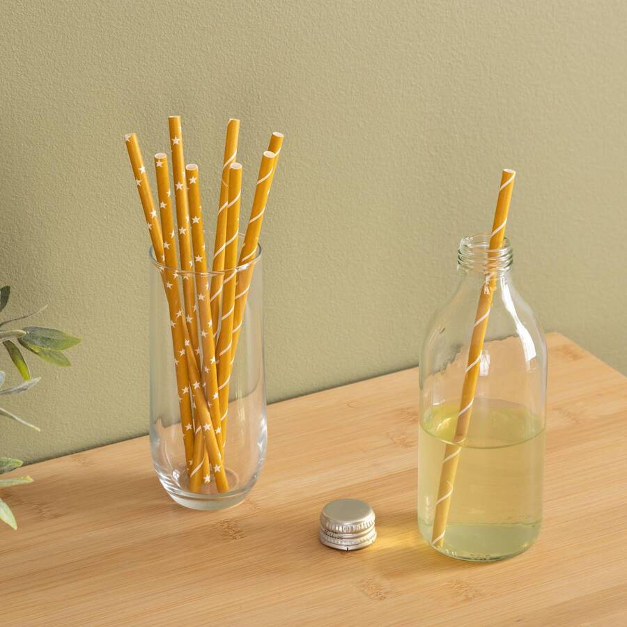 100 pailles en papier kraft Jangal
