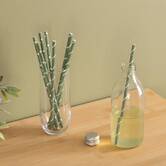100 pailles en papier kraft Jangal