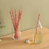 100 pailles en papier kraft Jangal