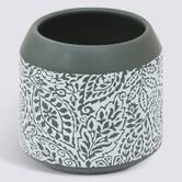 Porte-brosse à dents, vert Arboria