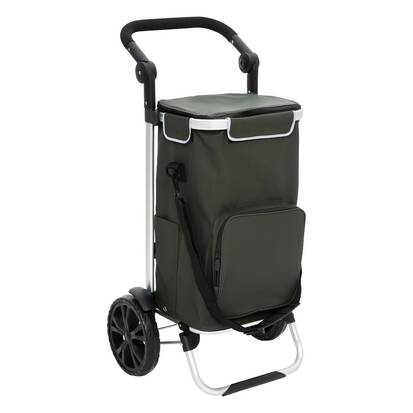 Chariot de course, 2 roues, vert 