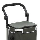 Chariot de course, 2 roues, vert 