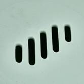 Corbeille à fruits 2,5 l, vert Poly