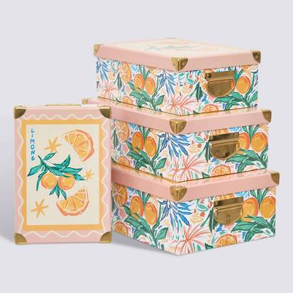 Lot de 4 boîtes de rangement, multicolore Box'