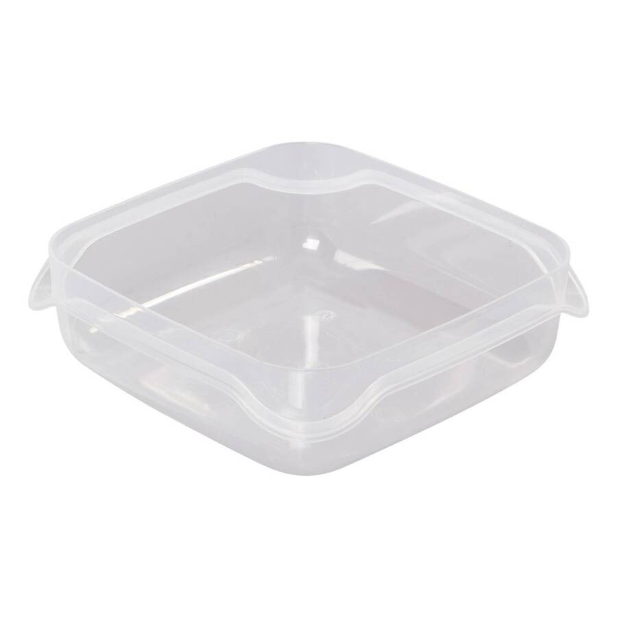Lot boite x12 plast essentiels 