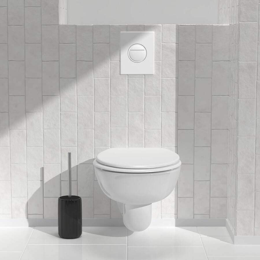 Brosse wc nr suny color 