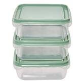 Lot boite x12 plast essentiels 