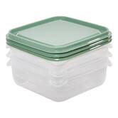 Lot boite x12 plast essentiels 