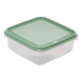 Lot boite x12 plast essentiels 