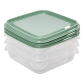 Lot boite x12 plast essentiels 