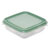 Lot boite x12 plast essentiels 