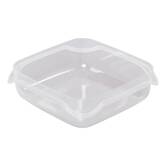 Lot boite x12 plast essentiels 