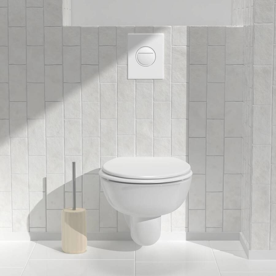 Brosse wc lin suny color 