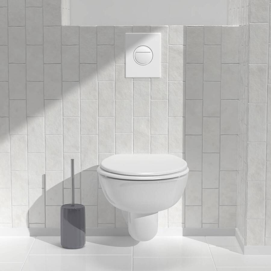 Brosse wc bet suny color 