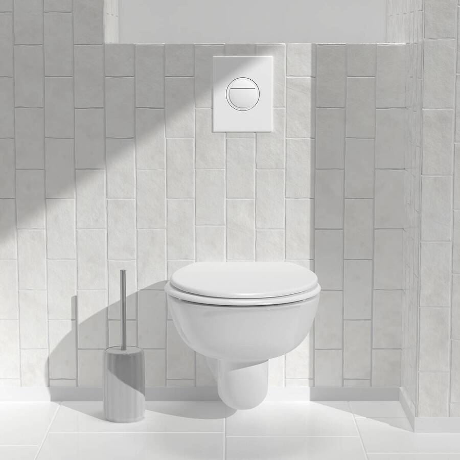 Brosse wc bl suny color 