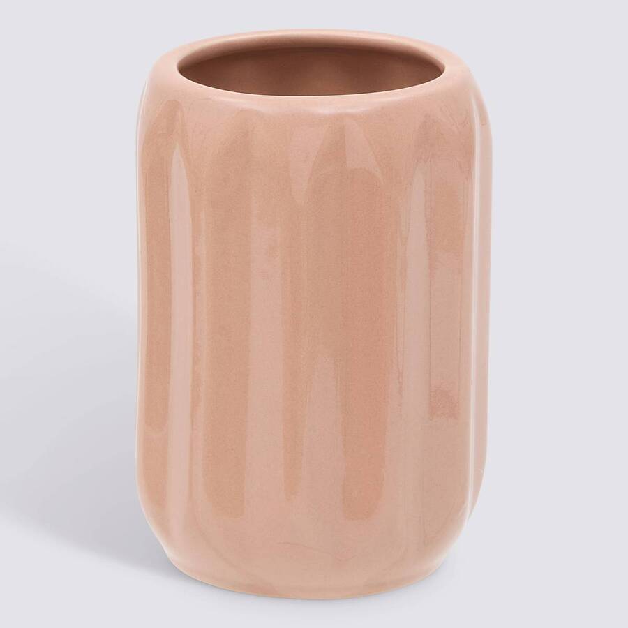 Pot a bad blush suny color 