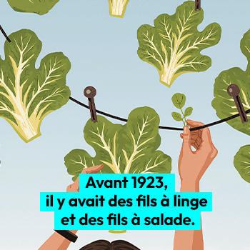 Illu 7  miniature hompage  350x350