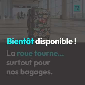 Article miniature ROULETTE homepage 350x350 