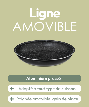 redirection desktop 350X420 amovible