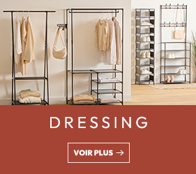 Desktop Dressing 281x250 1DEM